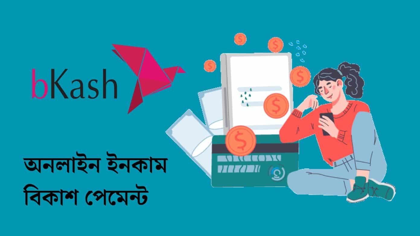 অনলাইন ইনকাম বিকাশ পেমেন্ট